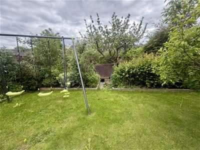Picture 20